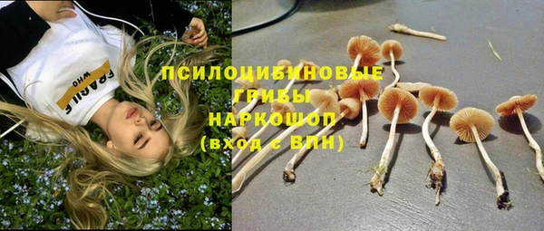 герыч Липки